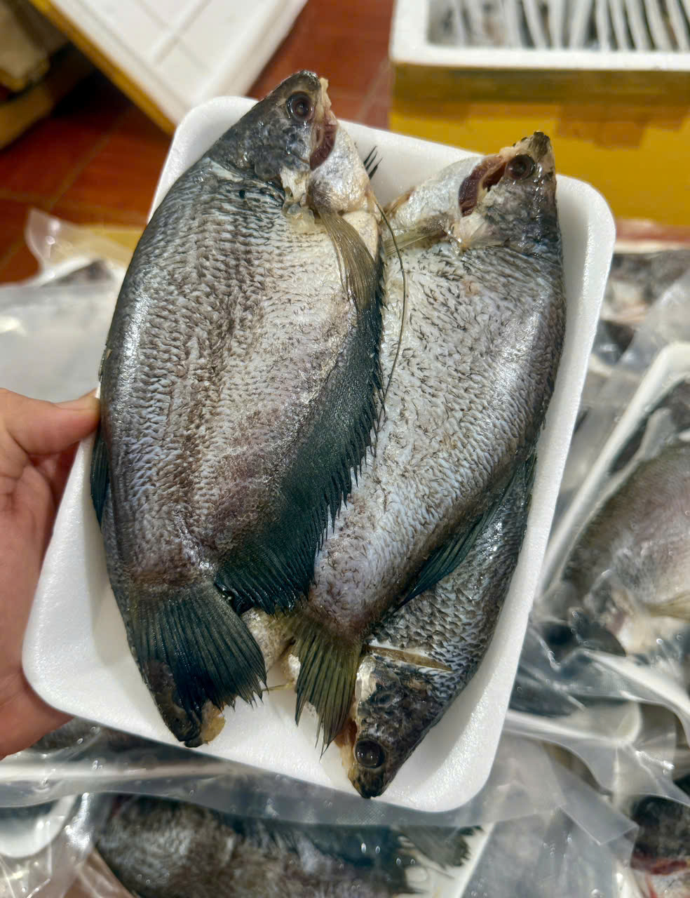 Khô cá sặc bổi 1 nắng - Đặc sản Cà Mau